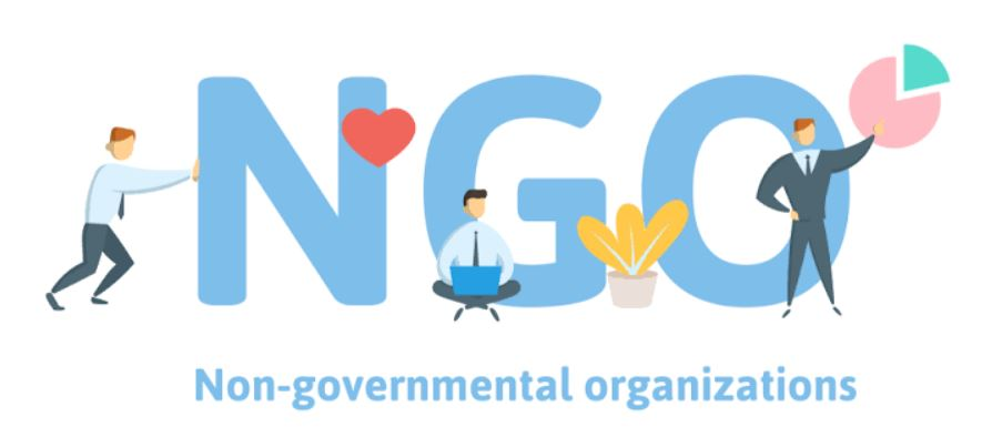 Non- government organization